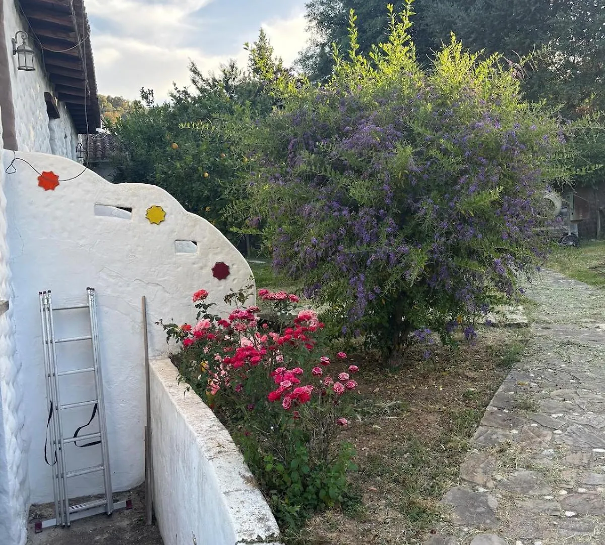 別荘 Casa En Canon De Las Buitreras La Playa de la Calera スペイン